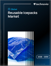 Global Reusable Icepacks Market 2026-2030