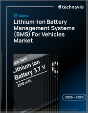 Global Lithium-Ion Battery Management Systems (BMS) For Vehicles Market 2026-2030