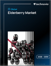 Global Elderberry Market 2026-2030