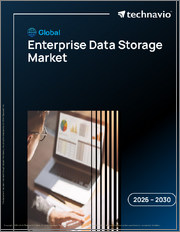 Global Enterprise Data Storage Market 2026-2030