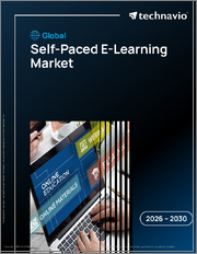 Global Self-Paced E-Learning Market 2026-2030