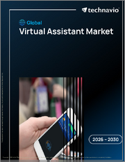 Global Virtual Assistant Market 2026-2030