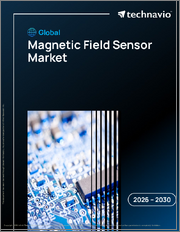 Global Magnetic Field Sensor Market 2026-2030