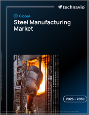 Global Steel Manufacturing Market 2026-2030