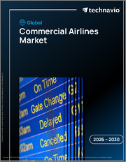 Global Commercial Airlines Market 2026-2030
