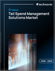 Global Tail Spend Management Solutions Market 2026-2030