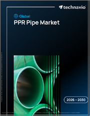 Global Ppr Pipe Market 2026-2030