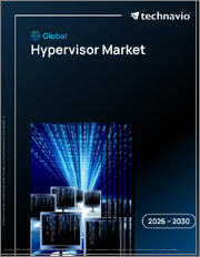 Global Hypervisor Market 2026-2030