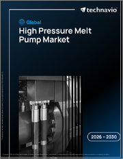 Global High Pressure Melt Pump Market 2026-2030