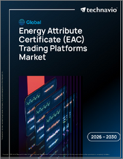 Global Energy Attribute Certificate (EAC) Trading Platforms Market 2026-2030