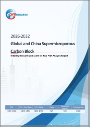 Global and China Supermicroporous Carbon Block Industry Research and 15th Five Year Plan Analysis Report