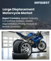 Large Displacement Motorcycle Market Size, Share, and Growth Analysis, By Engine Capacity/Displacement (500cc - 800cc, 800cc - 1200cc), By Motorcycle Category, By Propulsion Technology, By Sales Channel, By Region - Industry Forecast 2026-2033