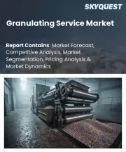 Granulating Service Market Size, Share, and Growth Analysis, By Granulation Technology, By Material Processed, By Service Level, By End-Use Vertical, By Region - Industry Forecast 2026-2033