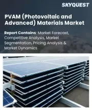 PVAM (Photovoltaic and Advanced) Materials Market Size, Share, and Growth Analysis, By Application (Residential, Commercial), By Technology (Crystalline Silicon (C-Si), Thin-Film), By Material Type, By End-User, By Region - Industry Forecast 2026-2033