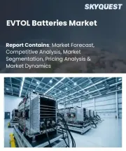 EVTOL Batteries Market Size, Share, and Growth Analysis, By Battery Type (Lithium-ion Batteries, Solid-state Batteries), By Application (Passenger EVTOLs, Cargo EVTOLs), By End User, By Sales Channel, By Region - Industry Forecast 2026-2033