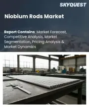 Niobium Rods Market Size, Share, and Growth Analysis, By Product Type (Standard Niobium Rods, Custom Niobium Rods), By Form Specification, By Application Area, By End User Industry, By Region - Industry Forecast 2026-2033