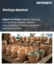 Pertzye Market Size, Share, and Growth Analysis, By Product Type (Capsules, Powder), By End User (Healthcare Providers, Patients), By Distribution Channel, By Region - Industry Forecast 2026-2033