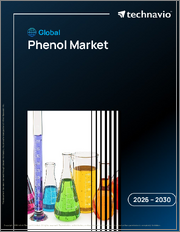 Global Phenol Market 2026-2030