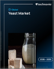 Global Yeast Market 2026-2030