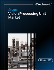 Global Vision Processing Unit Market 2026-2030