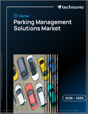 Global Parking Management Solutions Market 2026-2030