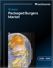 Global Packaged Burgers Market 2026-2030