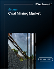 Global Coal Mining Market 2026-2030