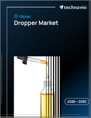 Global Dropper Market 2026-2030