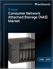 Global Consumer Network Attached Storage (NAS) Market 2026-2030
