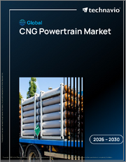 Global Cng Powertrain Market 2026-2030