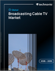 Global Broadcasting Cable Tv Market 2026-2030