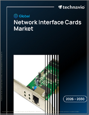 Global Network Interface Cards Market 2026-2030