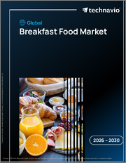 Global Breakfast Food Market 2026-2030