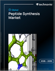 Global Peptide Synthesis Market 2026-2030