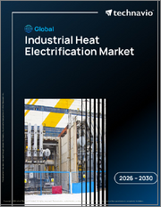 Global Industrial Heat Electrification Market 2026-2030