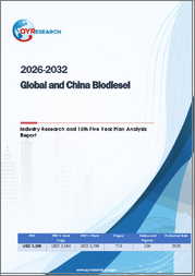 2026-2032 Global and China Biodiesel Industry Research and 15th Five Year Plan Analysis Report