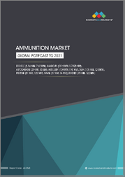 Ammunition Market By Caliber, End-User, Guidance, Component and Region - Global Forecast to 2031