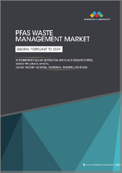 PFAS Waste Management Market by Treatment Technology (Destruction, Recycling & Recovery, Others), Service Type (On-site, Off-site), End-use Industry (Industrial, Commercial, Municipal), and Region - Global forecast to 2031