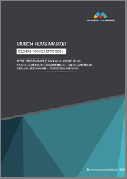 Mulch Films Market Report by Type (Clear/Transparent, Black Mulch, Colored Mulch, Photo-selective Mulch, Degradable Mulch), Application (Agricultural and Horticulture), Element (LLDPE, LDPE, HDPE, EVA, PLA, PHA), and Region - Global Forecast to 2031