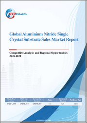 Global Aluminium Nitride Single Crystal Substrate Sales Market Report, Competitive Analysis and Regional Opportunities 2026-2032