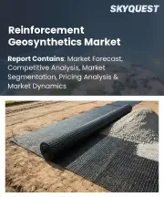 Reinforcement Geosynthetics Market Size, Share, and Growth Analysis, By Product Type, By Material Type, By Application, By End-Use Industry, By Distribution Channel, By Region - Industry Forecast 2026-2033