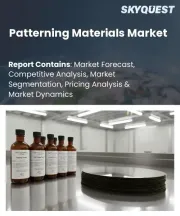 Patterning Materials Market Size, Share, and Growth Analysis, By Material Type (Photoresists, Anti-Reflective Coatings), By Application Technology, By End-Use Industry, By Purity Grade, By Distribution Channel, By Region - Industry Forecast 2026-2033