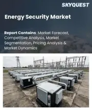 Energy Security Market Size, Share, and Growth Analysis, By Security Segment, By Solution Type, By Energy Source Focus, By End-User, By Technology Focus, By Sales Channel, By Region - Industry Forecast 2026-2033