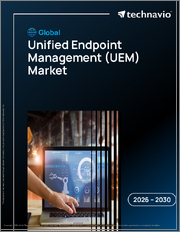 Global Unified Endpoint Management (UEM) Market 2026-2030