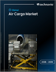 Global Air Cargo Market 2026-2030