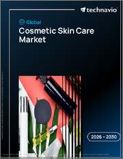 Global Cosmetic Skin Care Market 2026-2030