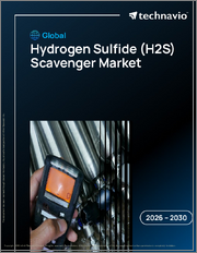 Global Hydrogen Sulfide (H2S) Scavenger Market 2026-2030
