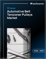 Global Automotive Belt Tensioner Pulleys Market 2026-2030