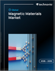 Global Magnetic Materials Market 2026-2030