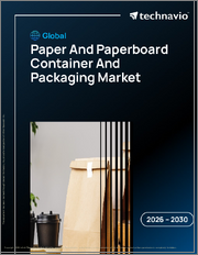 Global Paper And Paperboard Container And Packaging Market 2026-2030